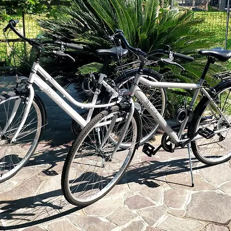 36 דירה קאטוליקה