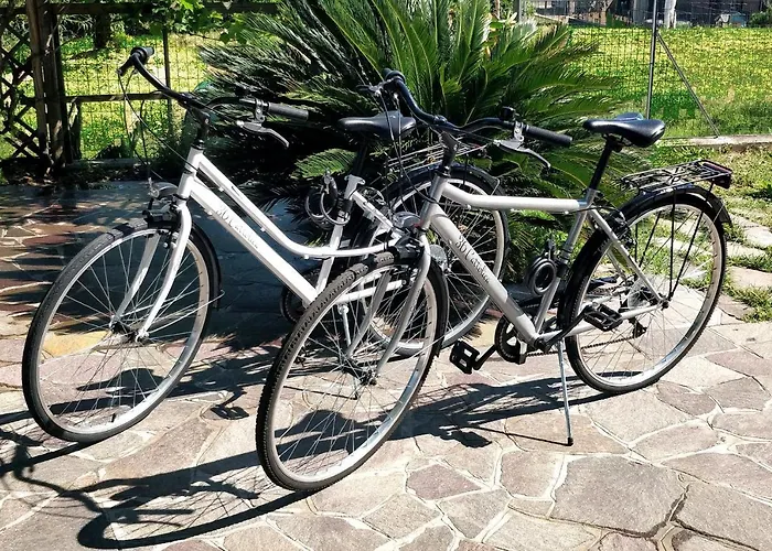 36 דירה קאטוליקה